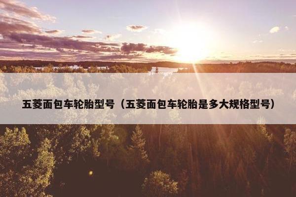五菱面包车轮胎型号（五菱面包车轮胎是多大规格型号）