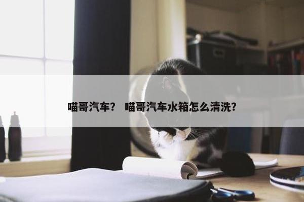 喵哥汽车？ 喵哥汽车水箱怎么清洗？