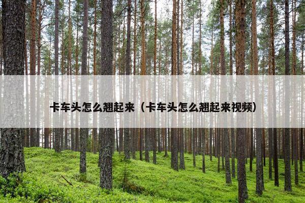 卡车头怎么翘起来（卡车头怎么翘起来视频）