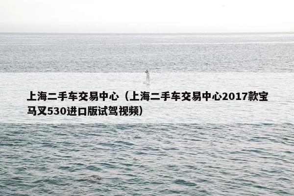 上海二手车交易中心（上海二手车交易中心2017款宝马叉530进口版试驾视频）