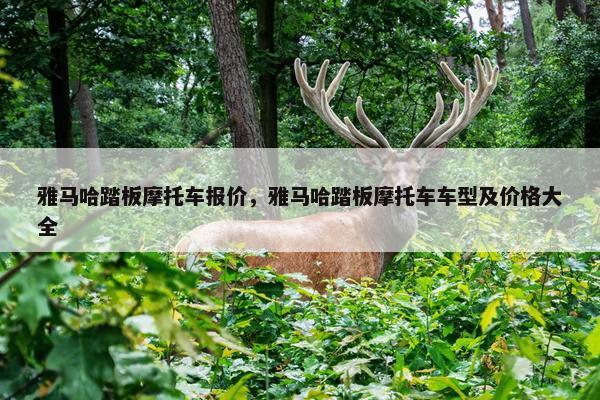 雅马哈踏板摩托车报价，雅马哈踏板摩托车车型及价格大全