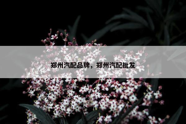 郑州汽配品牌，郑州汽配批发
