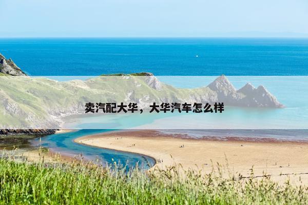 卖汽配大华，大华汽车怎么样