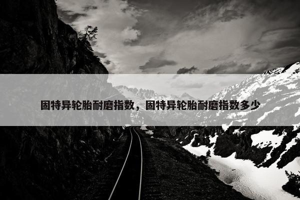 固特异轮胎耐磨指数，固特异轮胎耐磨指数多少