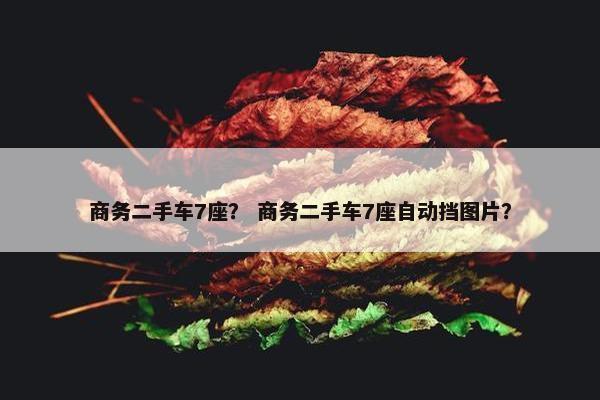 商务二手车7座？ 商务二手车7座自动挡图片？