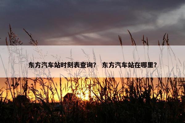 东方汽车站时刻表查询？ 东方汽车站在哪里？