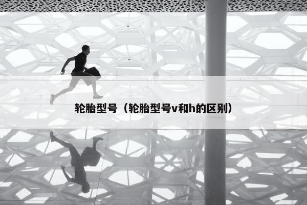 轮胎型号（轮胎型号v和h的区别）
