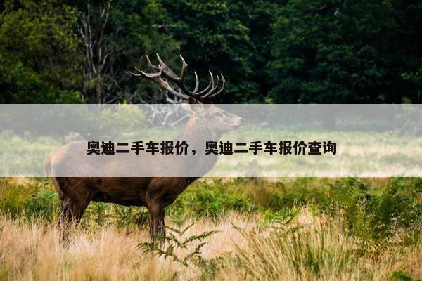 奥迪二手车报价，奥迪二手车报价查询