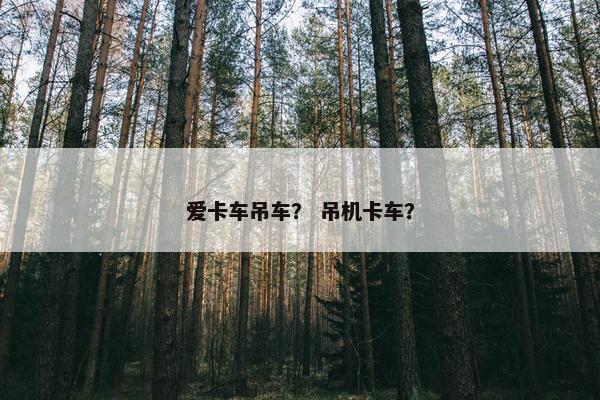爱卡车吊车？ 吊机卡车？