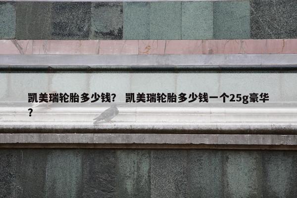 凯美瑞轮胎多少钱？ 凯美瑞轮胎多少钱一个25g豪华？