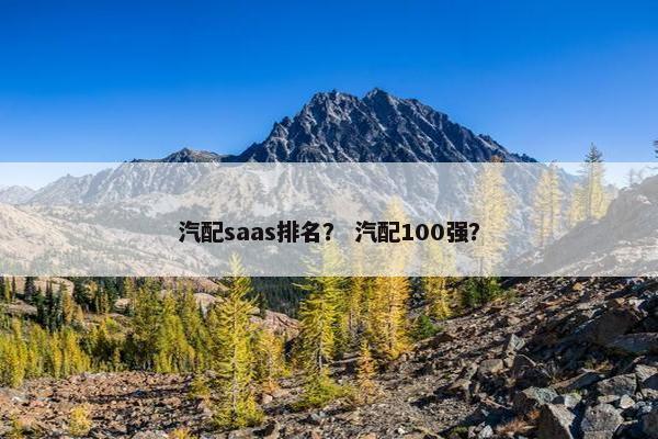 汽配saas排名？ 汽配100强？