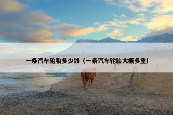 一条汽车轮胎多少钱（一条汽车轮胎大概多重）