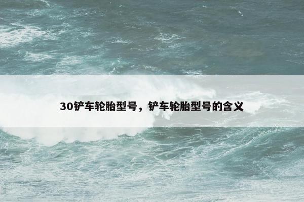 30铲车轮胎型号，铲车轮胎型号的含义