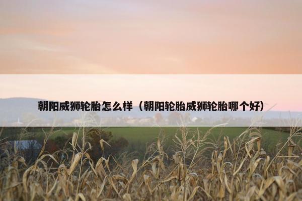 朝阳威狮轮胎怎么样（朝阳轮胎威狮轮胎哪个好）