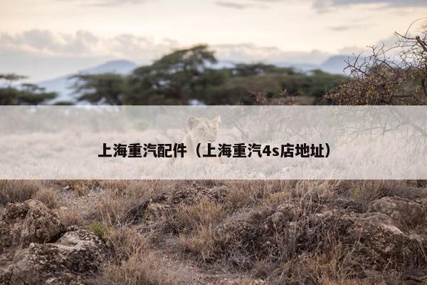上海重汽配件（上海重汽4s店地址）