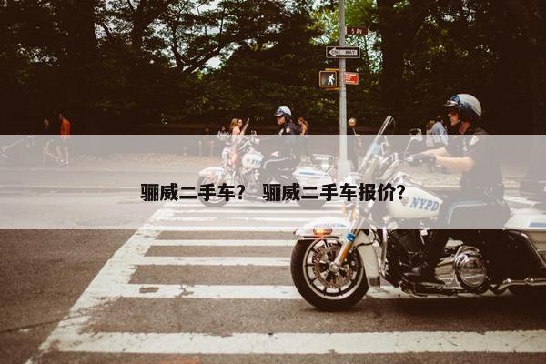 骊威二手车？ 骊威二手车报价？