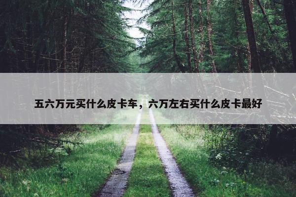 五六万元买什么皮卡车，六万左右买什么皮卡最好