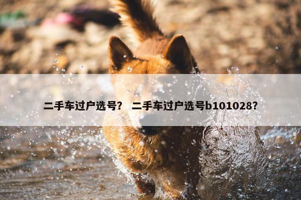 二手车过户选号？ 二手车过户选号b101028？