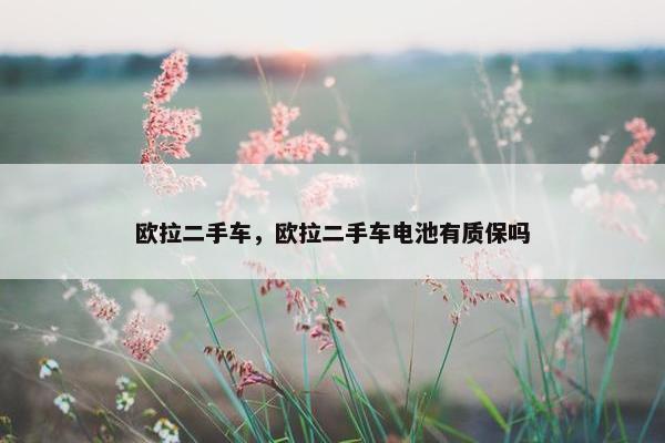 欧拉二手车，欧拉二手车电池有质保吗