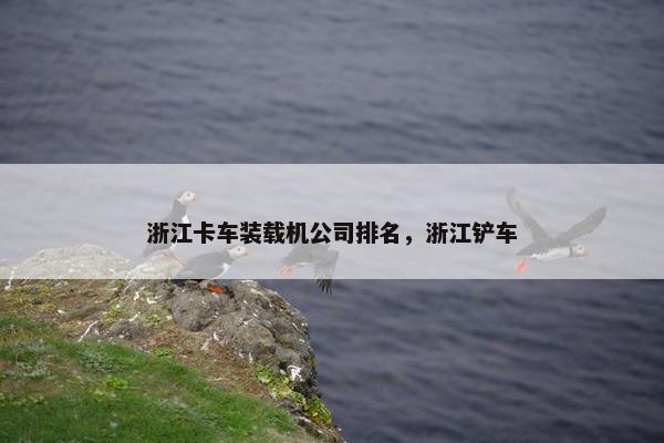 浙江卡车装载机公司排名，浙江铲车