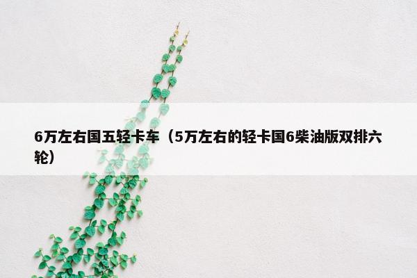 6万左右国五轻卡车（5万左右的轻卡国6柴油版双排六轮）