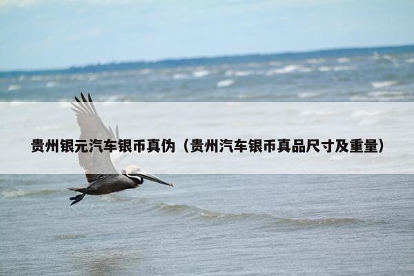 贵州银元汽车银币真伪（贵州汽车银币真品尺寸及重量）