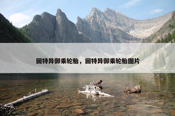 固特异御乘轮胎，固特异御乘轮胎图片