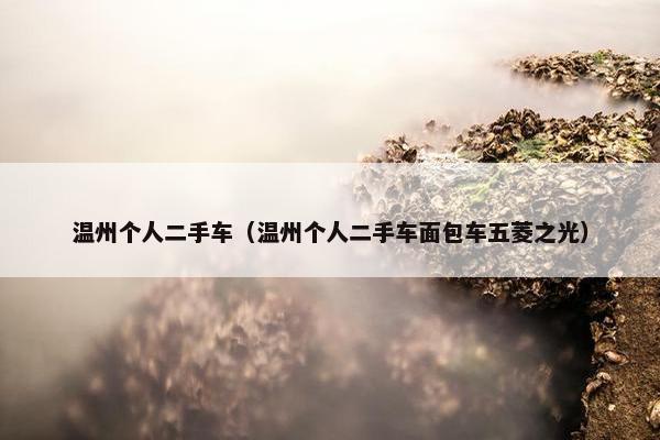 温州个人二手车（温州个人二手车面包车五菱之光）