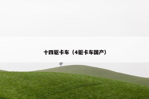 十四驱卡车（4驱卡车国产）