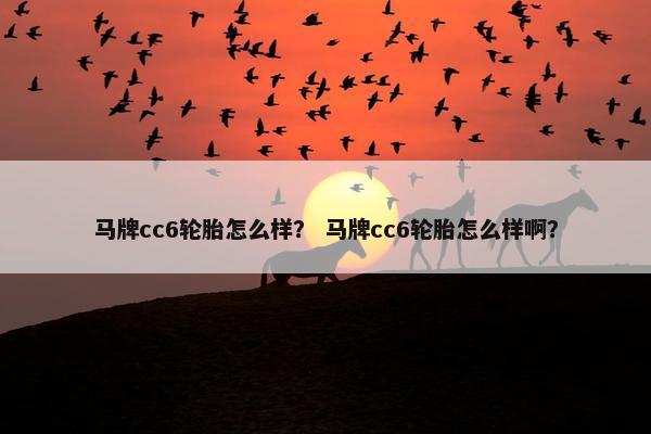 马牌cc6轮胎怎么样？ 马牌cc6轮胎怎么样啊？