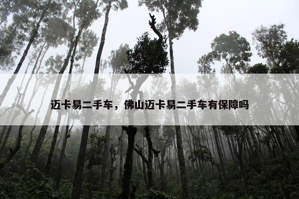 迈卡易二手车，佛山迈卡易二手车有保障吗