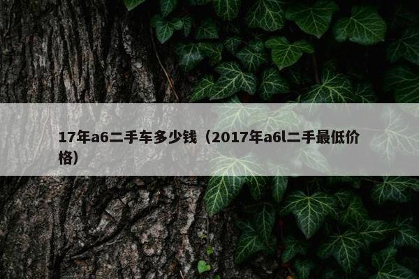 17年a6二手车多少钱（2017年a6l二手最低价格）