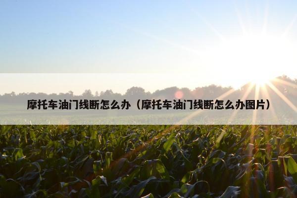 摩托车油门线断怎么办（摩托车油门线断怎么办图片）