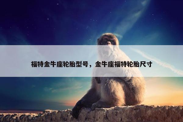 福特金牛座轮胎型号，金牛座福特轮胎尺寸