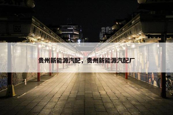 贵州新能源汽配，贵州新能源汽配厂