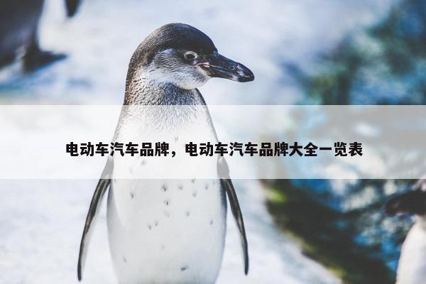 电动车汽车品牌，电动车汽车品牌大全一览表