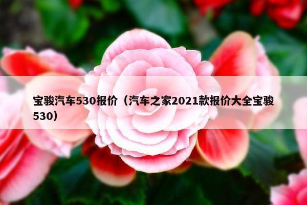 宝骏汽车530报价（汽车之家2021款报价大全宝骏530）