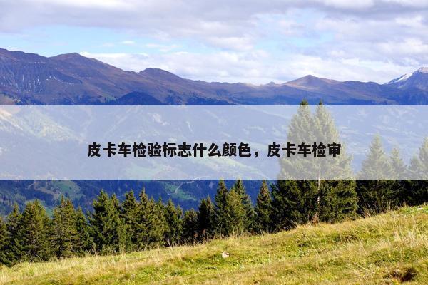 皮卡车检验标志什么颜色，皮卡车检审