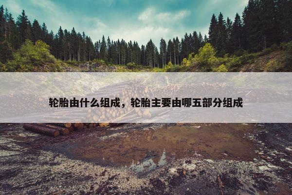 轮胎由什么组成，轮胎主要由哪五部分组成