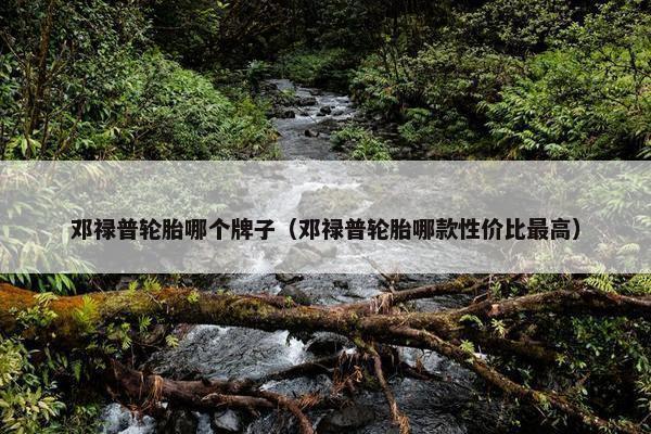 邓禄普轮胎哪个牌子（邓禄普轮胎哪款性价比最高）