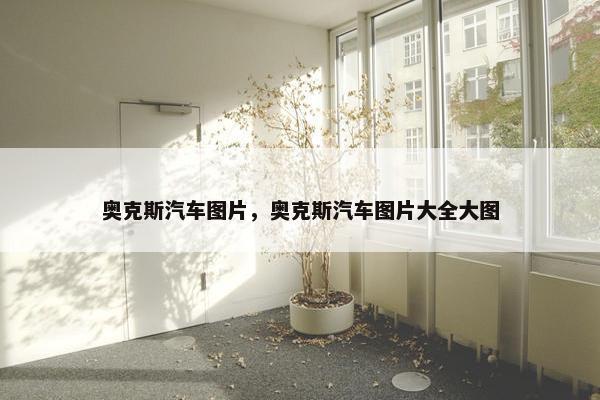 奥克斯汽车图片，奥克斯汽车图片大全大图