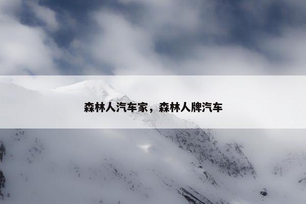 森林人汽车家，森林人牌汽车