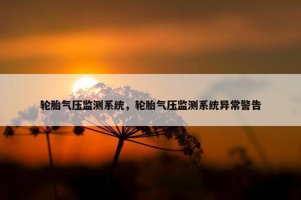 轮胎气压监测系统，轮胎气压监测系统异常警告