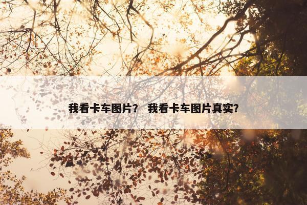 我看卡车图片？ 我看卡车图片真实？