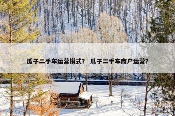 瓜子二手车运营模式？ 瓜子二手车商户运营？