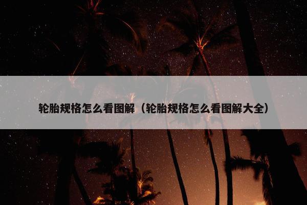 轮胎规格怎么看图解（轮胎规格怎么看图解大全）